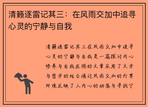 清籁逐雷记其三：在风雨交加中追寻心灵的宁静与自我